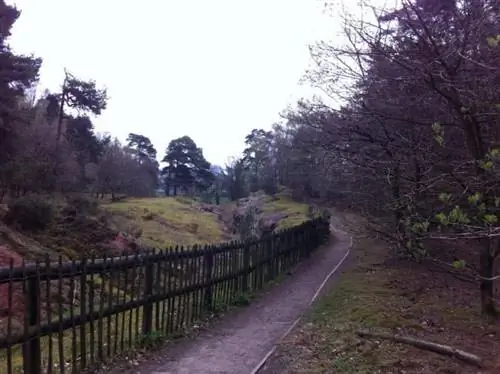 Прогулка волшебника.