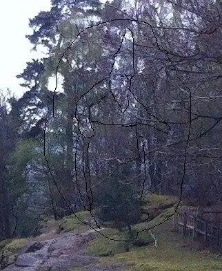 Волшебник на Волшебной прогулке.