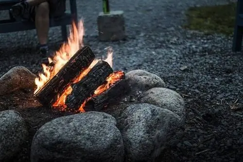 Свежие мидии готовятся на костре в кемпинге Murphy's Camping on the Ocean.