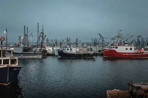 18435833991 4ae9e970b1 г