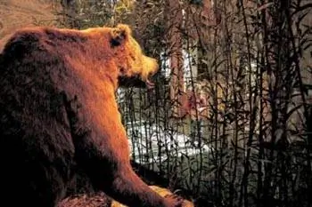 История, музеи и достопримечательности Небраски