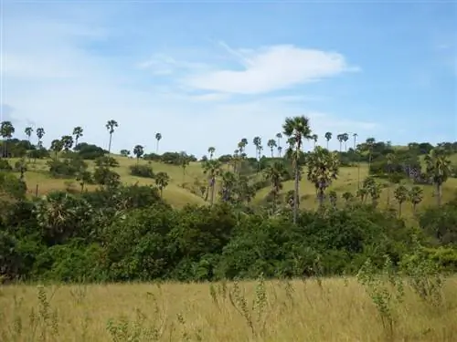 Уникальный ландшафт национального парка Комодо