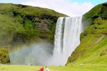 Ужин в Исландии: ферментированное мясо акулы и опаленные бараньи головы