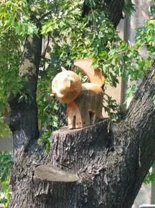 Либо у меня глаз на кошек, либо их полно в Киеве.