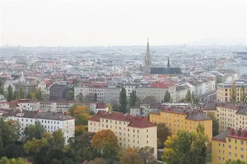 Вид на Вену с колеса обозрения в Пратере. Фото Ольги Волобуевой.
