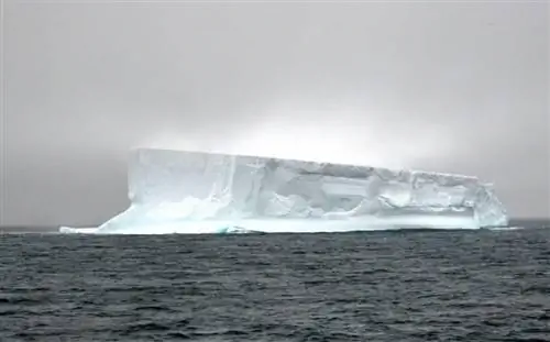 Айсберг в тумане.