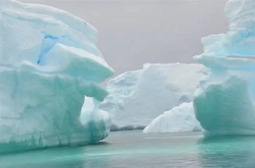 Антарктида без больших затрат
