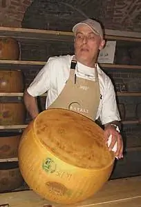 Проверка сыра на готовность в Eataly. Пьемонт