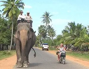 Путешествие на мотоцикле по Камбодже: посмотрите на страну как местный житель!