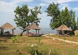 Гостевой дом окружен садом на берегу моря.