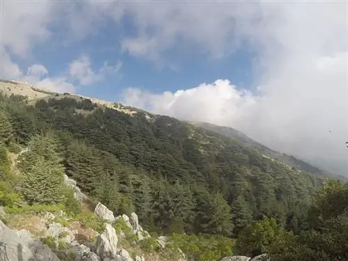 Биосферный заповедник Шуф 3 jpg