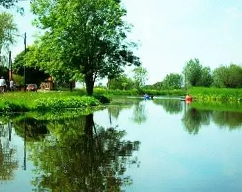 Пятая часть территории Нидерландов - это вода.