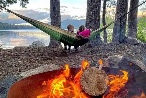 медвежьи гамаки