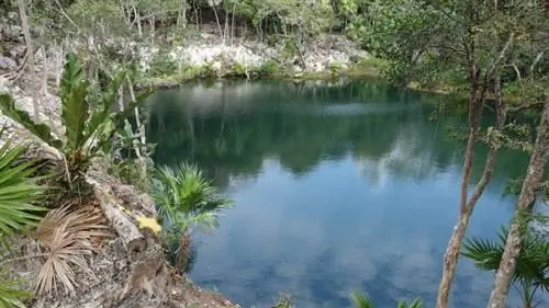 Кристально чистая вода в сеноте в Ксел-Ха.