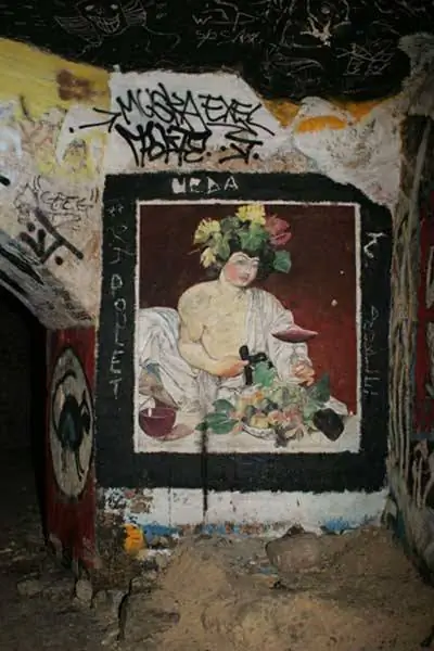 пу p115