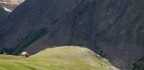 Бонни Белль дома. Бесплатные фотографии