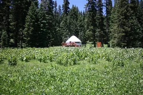 Юрта Таос, аренда на отпуск для Freehouse