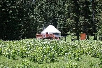 FreeHouse: Опыт «вне сети»