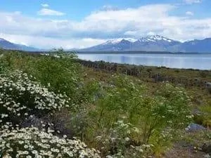 Сцена с дороги, ведущей к леднику Перито Морено.