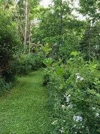 Лесная тропа Латурель