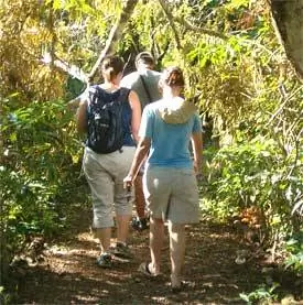 Три закуски Комодо (Майк, Хизер и Мона) бродят по тропе на острове Комодо.
