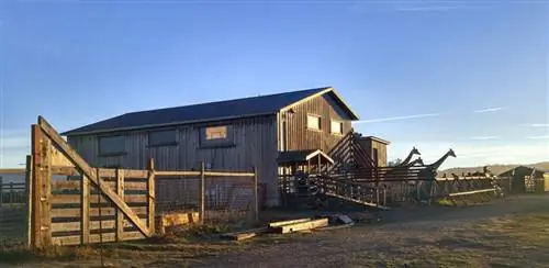 Наблюдайте за восходом солнца с жирафами в заповеднике B Bryan Preserve, Point Arena.