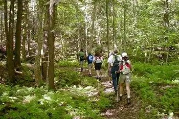 Пешеходный спа-центр New Life в Вермонте: уединение в Зеленых горах
