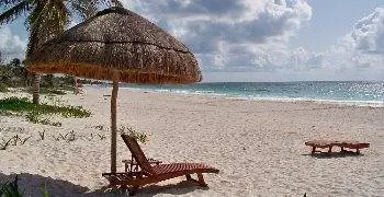 Лучшая жизнь за полцены, Тим Леффел.