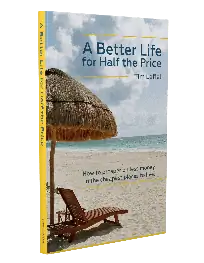 Обложка «Лучшая жизнь за полцены».