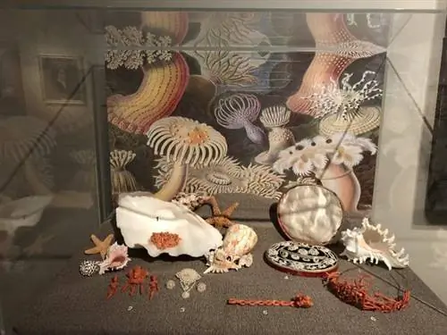 Часть выставки Bejeweled в Институте искусств Олбани. Эта серия заканчивается 9 июня.