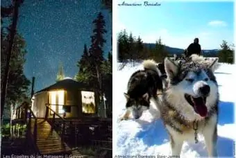 Юрта и собачья упряжка