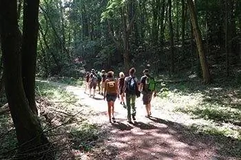 Городские пешеходные маршруты в Берлине, Германия