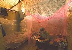 Размещение автора в кооперативе La Pita