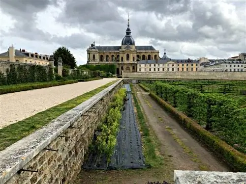 Le Potager du Roi, Королевский сад, интригующая достопримечательность Версаля, Франция. Фотографии Макса Хартшорна.