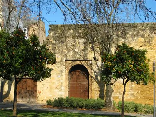 Апельсиновые деревья вдоль улиц Кордовы. Фотографии Анджелы Доэрти.