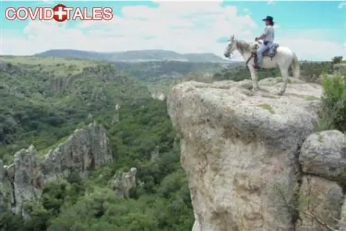 Кто еще готов снова отправиться в путешествие?