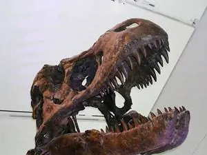 Королевский музей Онтарио