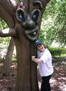 Не твой повседневный лес.