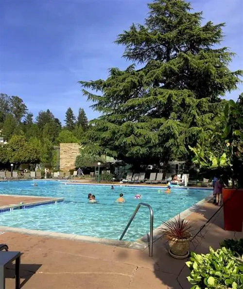 Бассейн курорта Фламинго