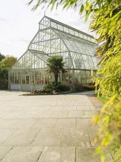 Пара наслаждается своим визитом в Национальный ботанический сад Дублина