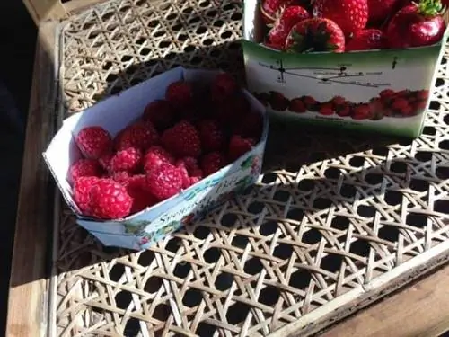 Ягоды на местном фермерском рынке