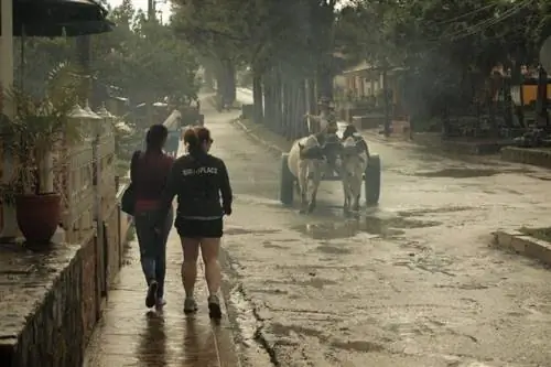 Экскурсия по Виньялесу, холмистой части страны, примерно в двух часах езды от Гаваны.