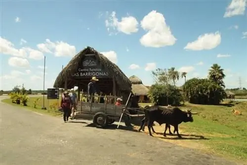 Подобные повозки часто используются в качестве основного средства передвижения в сельской местности Кубы.