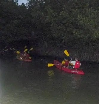 Биолюминесцентная бухта, Фахардо, Пуэрто-Рико.