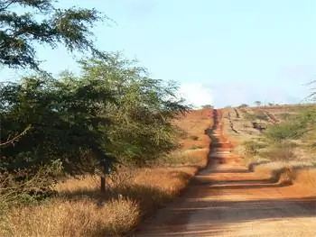 Дорога мимо бывшего ранчо Молокаи к пляжу Дикси Мару.