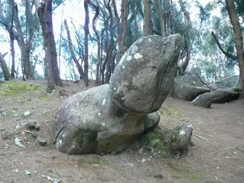 Фаллическая скала, которая имеет большое значение для традиционных людей, живших и живущих на Молокаи. Считается, что он дает женщинам плодородие.