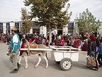 За пределами местного рынка.