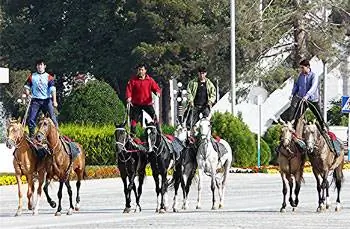 Парад всадников