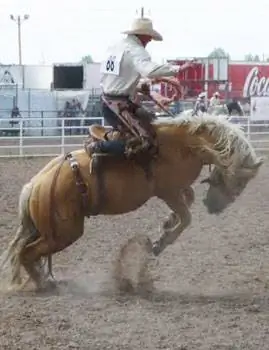 Верховая езда в седле