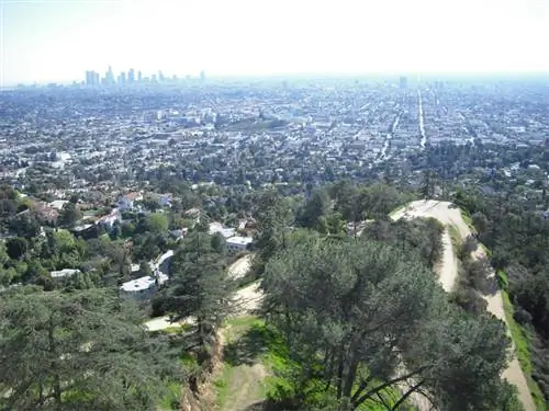 Вид из Гриффит-парка, Лос-Анджелес. фотографии Бена Хилла.